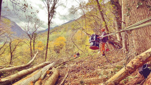 utilisation treuil forestier sur batterie